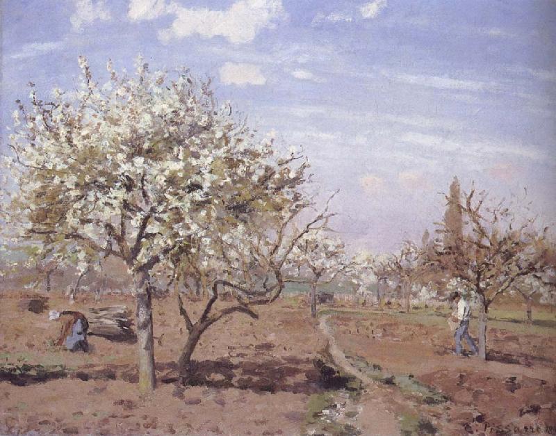 Camille Pissarro Flowering frukttradgard Louveciennes oil painting image